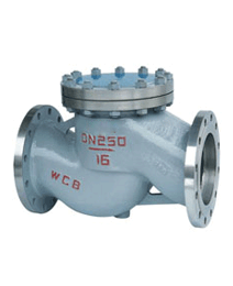 升降(jiàng)式止回閥(fa)