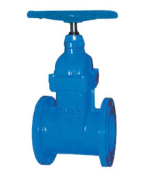 彈性座(zuo)封閘閥